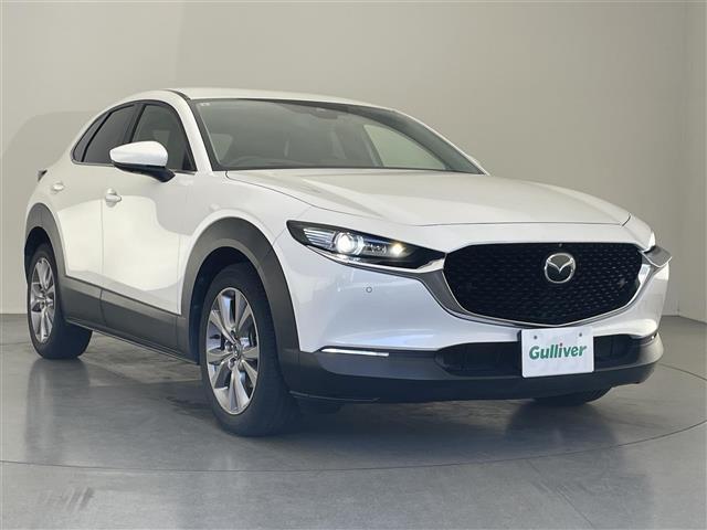 ＣＸ－３０ ２０Ｓ　Ｌパッケージ　純正１０．２５型ナビ　ＢＯＳＥ　全方位　禁煙車　ＨＵＤ　ＢＳＭ　黒革　ＨＤＭＩ　追従クルコン　フルセグＴＶ　ＤＶＤ　シートヒーター　パワーシート　パワーバックドア　ＬＥＤオートライト　ＥＴＣ　ドラレコ（41枚目）