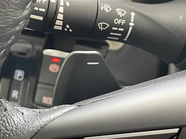 デリカミニ Ｔ　プレミアム　届出済未使用車　純正９型ＤＡ　デジイン　マイパイロット　ハンズフリーパワスラ　全方位カメラ　シートヒーター　ｅ－アシスト　衝突軽減　追従クルコン　ダウンヒルアシスト　ＬＥＤオートライト　パドルシフト（13枚目）
