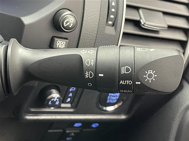 ランドクルーザープラド ＴＸ　Ｌパッケージ　マットブラックエディション　純正９型ＤＡナビ　ムーンルーフ　全方位カメラ　黒革　禁煙　ＥＴＣ２．０　ベンチレーション　シートヒーター　セーフティセンス　衝突軽減　ＢＳＭ　追従クルコン　ＬＥＤオートライト　ルーフレール　電動シート（31枚目）
