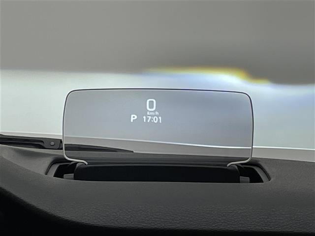 �y�w�b�h�A�b�v�f�B�X�v���C�z�X�s�[�h���[�^�[���t�����g�E�B���h�E�ɉf���o����܂���