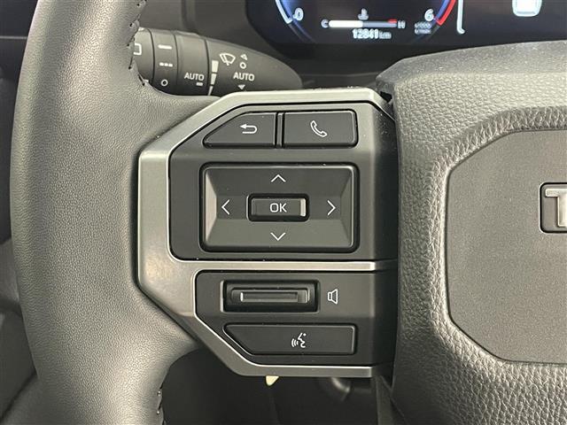 ランドクルーザー250 VX 純正12.3型ナビ JBLサウンド ムーンルーフ 丸目LEDヘッドライト 全方位カメラ ワイヤレス充電 デジタルインナーミラー BSM ルーフレール 電動リアゲート 黒革シート シートヒーター 禁煙車(32枚目)