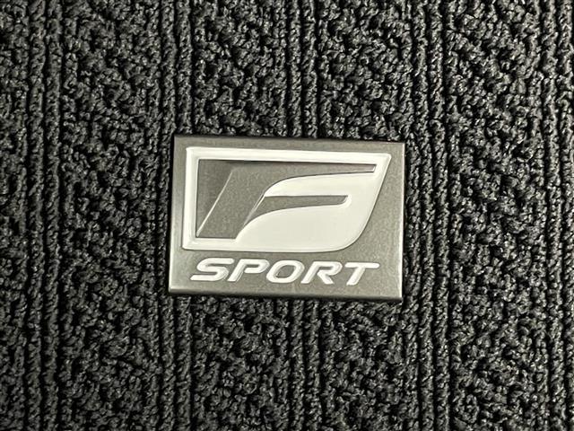 ＮＸ ＮＸ３５０ｈ　Ｆスポーツ　純正１４型ナビＴＶ　ムーンルーフ　赤革　禁煙車　デジタルインナーミラー　全方位カメラ　前後ドラレコ　オレンジキャリパー　ＡＣ１００Ｖ　ＨＤＭＩ　ＢＳＭ　ＨＵＤ　衝突軽減　追従クルコン　電動リアゲート（26枚目）