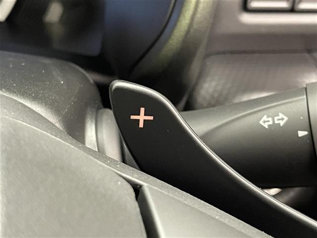 ハスラー タフワイルドターボ　届出済未使用車　純正９型ＤＡナビＴＶ　禁煙　全方位カメラ　デュアルカメラブレーキ　衝突軽減　追従クルコン　パーキングセンサー　ＬＥＤオートライト　シートヒーター　ＤＶＤ再生　パドルシフト　ルーフレール（9枚目）