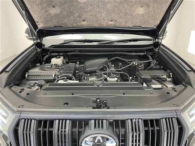 ランドクルーザープラド ＴＸ　Ｌパッケージ　マットブラックエディション　メーカーナビＴＶ　ムーンルーフ　ＪＢＬ　禁煙車　全方位カメラ　ＢＳＭ　黒革　シートヒーター　シートエアコン　コーナーセンサー　セーフティセンス　衝突軽減　追従クルコン　純正ルーフキャリア　ＬＥＤライト（24枚目）