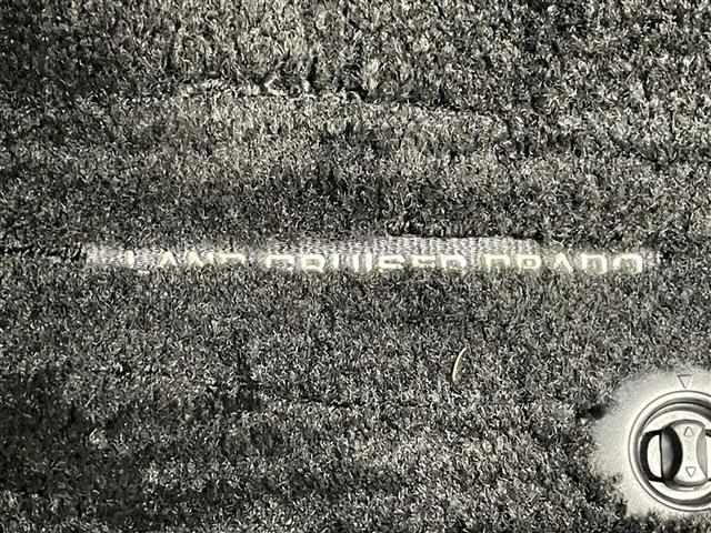 ランドクルーザープラド ＴＸ　Ｌパッケージ　マットブラックエディション　メーカーナビＴＶ　ムーンルーフ　ＪＢＬ　禁煙車　全方位カメラ　ＢＳＭ　黒革　シートヒーター　シートエアコン　コーナーセンサー　セーフティセンス　衝突軽減　追従クルコン　純正ルーフキャリア　ＬＥＤライト（27枚目）