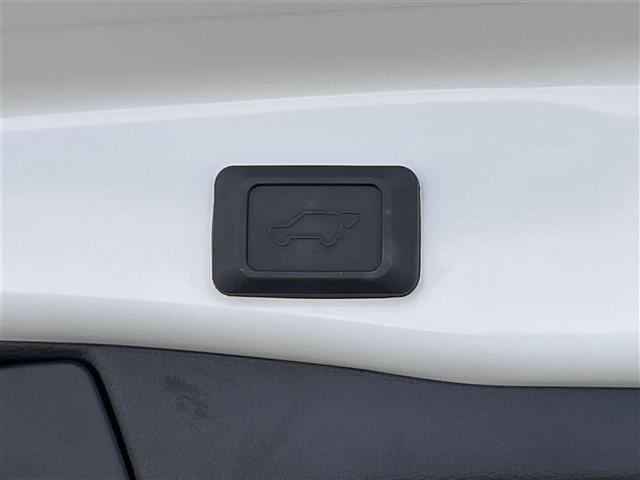 ＲＡＶ４ Ｇ　純正９型ナビＴＶ　バックカメラ　禁煙　ＢＳＭ　電動リアゲート　黒革　シートヒーター　ステアリングヒーター　ＥＴＣ　パワーシート　電動パーキング　ルーフレール　衝突軽減　追従クルコン　ＬＥＤオートライト（6枚目）