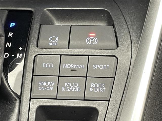 ＲＡＶ４ Ｇ　純正９型ナビＴＶ　バックカメラ　禁煙　ＢＳＭ　電動リアゲート　黒革　シートヒーター　ステアリングヒーター　ＥＴＣ　パワーシート　電動パーキング　ルーフレール　衝突軽減　追従クルコン　ＬＥＤオートライト（15枚目）