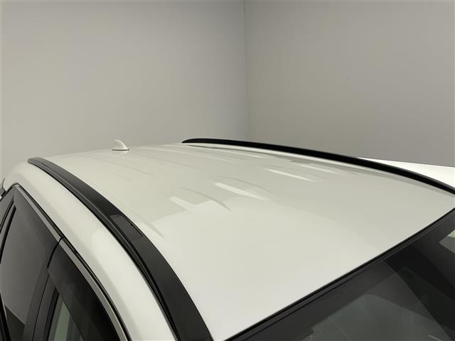 ＲＡＶ４ Ｇ　純正９型ナビＴＶ　バックカメラ　禁煙　ＢＳＭ　電動リアゲート　黒革　シートヒーター　ステアリングヒーター　ＥＴＣ　パワーシート　電動パーキング　ルーフレール　衝突軽減　追従クルコン　ＬＥＤオートライト（34枚目）