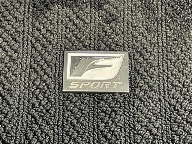 ＮＸ ＮＸ３００ｈ　Ｆスポーツ　純正ナビ　全方位カメラ　ＢＳＭ　禁煙　三眼ＬＥＤ　ＡＣ１００Ｖ　ＥＴＣ　前後ドラレコ　レクサスセーフティ　衝突軽減　追従クルコン　コーナーセンサー　黒革　シートヒーター　ハンドルヒーター　パドルシフト（33枚目）