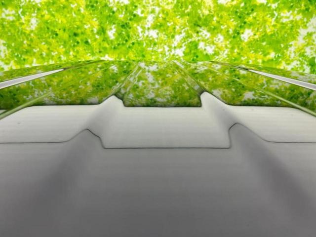 ジムニーシエラ ４ＷＤ　ＪＬ　保証書／シートヒーター／Ｂｌｕｅｔｏｏｔｈ接続／ＥＢＤ付ＡＢＳ／横滑り防止装置／禁煙車／エアバッグ　運転席／エアバッグ　助手席／エアバッグ　サイド／アルミホイール　社外　１６インチ／パワーウインドウ（47枚目）