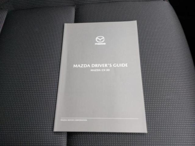 CX-30 20Sブラックトーンエディション 純正 10インチ SDナビ/衝突安全装置/シートヒーター 前席/全方位モニター/車線逸脱防止支援システム/電動バックドア/ドライブレコーダー 前後/ヘッドランプ LED/Bluetooth接続 禁煙車(30枚目)