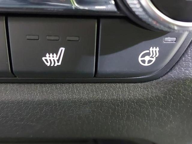 CX-30 20Sブラックトーンエディション 純正 10インチ SDナビ/衝突安全装置/シートヒーター 前席/全方位モニター/車線逸脱防止支援システム/電動バックドア/ドライブレコーダー 前後/ヘッドランプ LED/Bluetooth接続 禁煙車(33枚目)