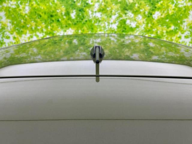 タフト X 新品タイヤ/ガラスルーフ/保証書/社外 SDナビ/衝突安全装置/車線逸脱防止支援システム/ドライブレコーダー 社外/ヘッドランプ LED/USBジャック/ETC/EBD付ABS/横滑り防止装置 記録簿(46枚目)