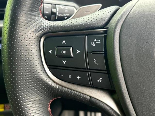 ＵＸ ＵＸ２５０ｈ　Ｆスポーツエモーショナルエクスプローラ　サンルーフ／保証書／ディスプレイオーディオ＋ナビ１２．３インチ／プリクラッシュセーフティ／エアーシート　前席／全方位モニター／車線逸脱防止支援システム／シート　合皮　衝突被害軽減システム　全周囲カメラ（25枚目）