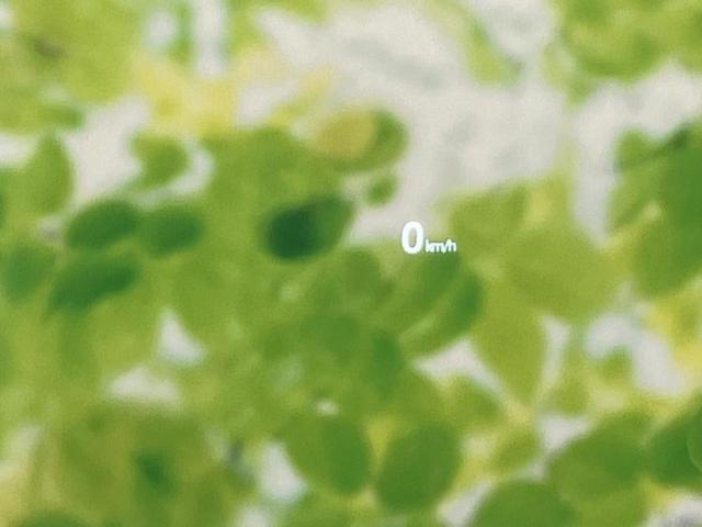 CX-5 XD Lパッケージ 純正 SDナビ/衝突安全装置/シートヒーター 前席/360°ビューモニター/車線逸脱防止支援システム/シート フルレザー/電動バックドア/ヘッドランプ LED/Bluetooth接続/ETC 革シート(36枚目)