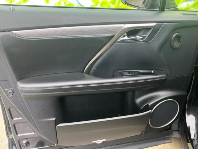 �u���̎Ԃ̎ʐ^�������ƌ������v�u��Ԃ��C�ɂȂ�v�u���̑����͂��Ă���H�v�ǂ�ȏ����ȋ^��ł����C�y�ɂ��₢���킹���������I