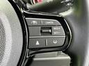 コーディネートスタイル２トーン　新品タイヤ／保証書／純正　９インチ　ＳＤナビ／ホンダセンシング／両側電動スライドドア／シートヒーター　前席／車線逸脱防止支援システム／シート　ハーフレザー／パーキングアシスト　バックガイド　禁煙車（24枚目）