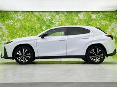 �ףţã��ңӤκ߸˥ڡ������������������ˤ��꤬�Ȥ��������ޤ����ףţã��ңӤϡ֤��������פ��åȡ��ˤ����ͤΥ����饤�դ����Ϥǥ��ݡ��Ȥ������ޤ��� 2