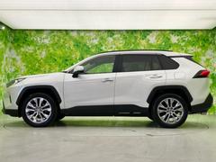 �ףţã��ңӤκ߸˥ڡ������������������ˤ��꤬�Ȥ��������ޤ����ףţã��ңӤϡ֤��������פ��åȡ��ˤ����ͤΥ����饤�դ����Ϥǥ��ݡ��Ȥ������ޤ��� 2