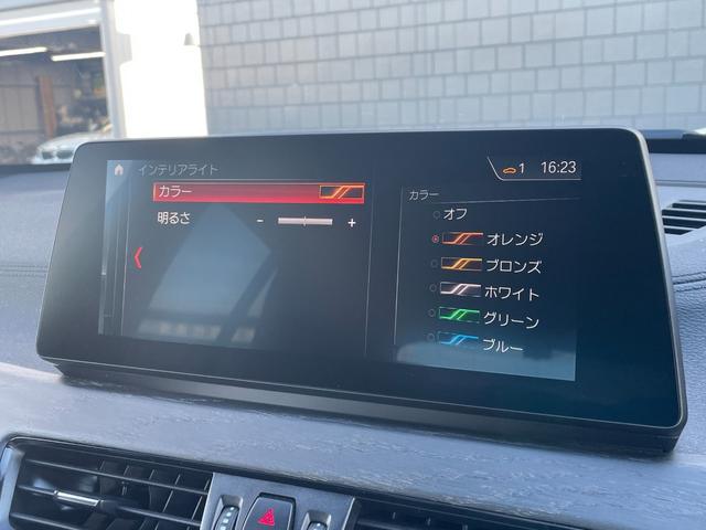 Ｘ１ ｘＤｒｉｖｅ　１８ｄ　Ｍスポーツ　４ＷＤ　ＨＤＤナビ　バックカメラ　革シート　電動リアゲート　シートヒーター　ターボ　アダプティブクルーズコントロール　オートライト　衝突防止システム　ＬＥＤヘッドランプ　レーンアシスト　スマートキー（18枚目）