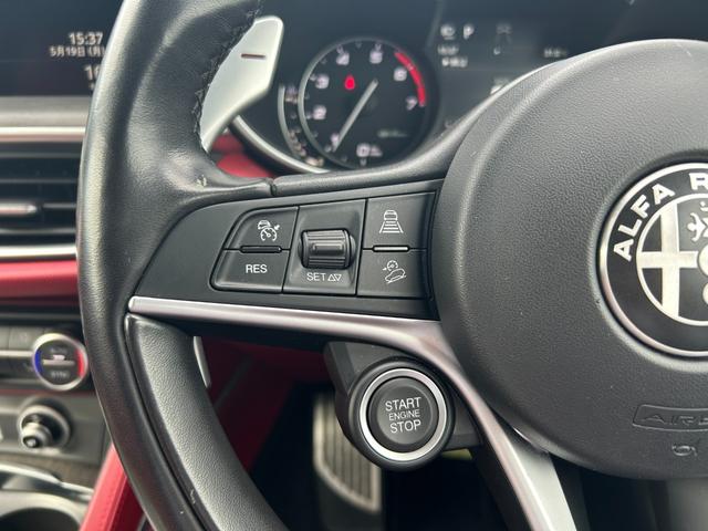 ステルヴィオ ファーストエディション　本革／ＡＣＣ／ＡｐｐｌｅＣａｒＰｌａｙ／ｈａｒｍａｎｋａｒｄｏｎ／電動Ｒドア／ＡＣＣ／ＢＳＭ／ＬＫＡ／ステアリングヒーター／ディスプレイオーディオ／ＢＴ／ＵＳＢ／ＡＵＸ／２０インチＡＷ（10枚目）