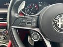 ファーストエディション　本革／ＡＣＣ／ＡｐｐｌｅＣａｒＰｌａｙ／ｈａｒｍａｎｋａｒｄｏｎ／電動Ｒドア／ＡＣＣ／ＢＳＭ／ＬＫＡ／ステアリングヒーター／ディスプレイオーディオ／ＢＴ／ＵＳＢ／ＡＵＸ／２０インチＡＷ（10枚目）