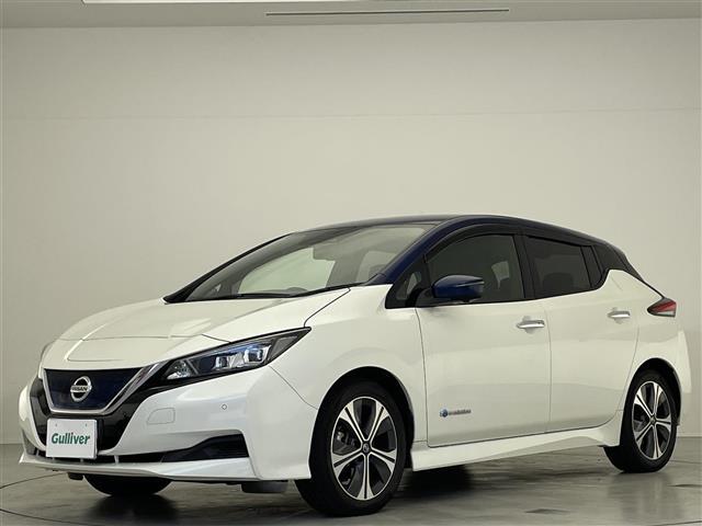 リーフ Ｘ　Ｖセレクション　禁煙車／純正９インチナビ／プロパイロット／全方位カメラ／電子パーキングブレーキ／デジタルインナーミラー／シートヒーター／ステアリングヒーター／ブラインドスポットモニター／ＥＴＣ２．０／オートライト（31枚目）