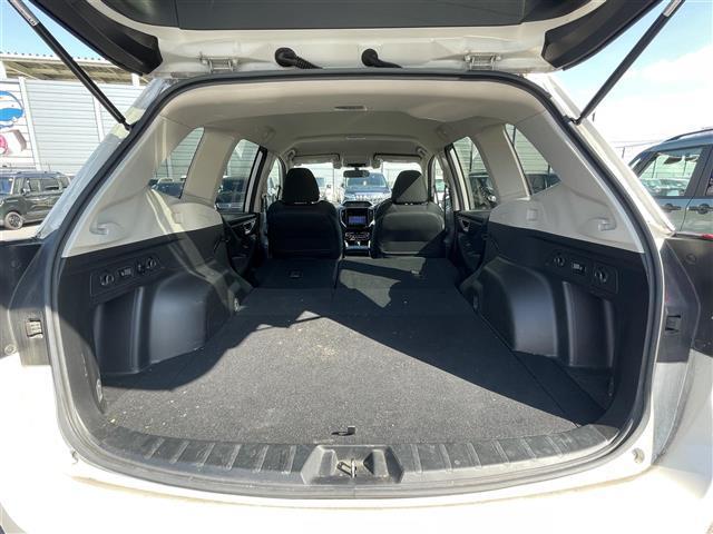 フォレスター プレミアム 禁煙車/純正ナビ/追従クルーズコントロール/ブラインドスポットモニター/バックカメラ/ETC/ステアリングスイッチ/ステアリングヒーター/ハーフレザーシート/シートヒーター/パワーシート/LEDライト(28枚目)