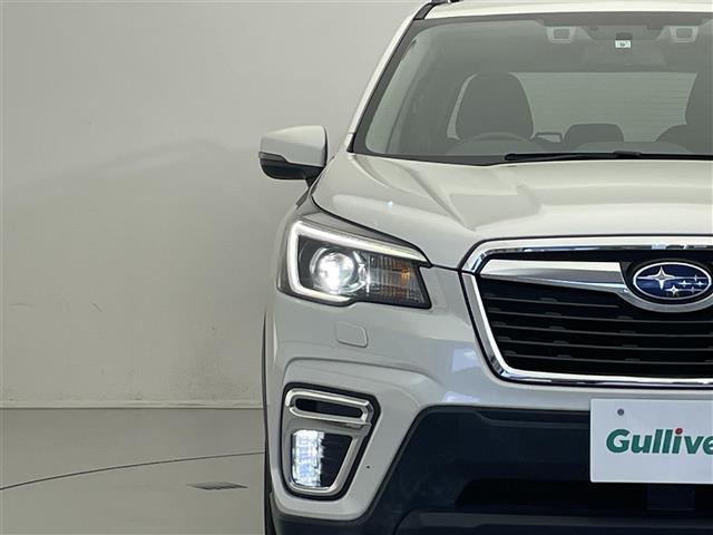 フォレスター プレミアム 禁煙車/純正ナビ/追従クルーズコントロール/ブラインドスポットモニター/バックカメラ/ETC/ステアリングスイッチ/ステアリングヒーター/ハーフレザーシート/シートヒーター/パワーシート/LEDライト(29枚目)