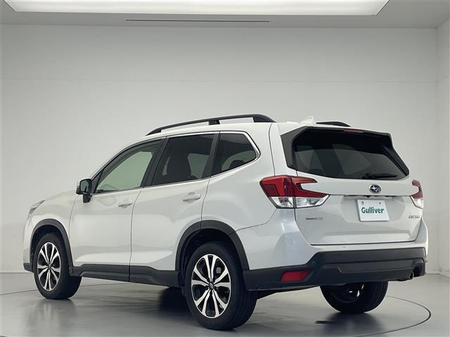 フォレスター プレミアム 禁煙車/純正ナビ/追従クルーズコントロール/ブラインドスポットモニター/バックカメラ/ETC/ステアリングスイッチ/ステアリングヒーター/ハーフレザーシート/シートヒーター/パワーシート/LEDライト(33枚目)