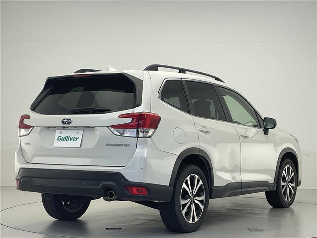 フォレスター プレミアム 禁煙車/純正ナビ/追従クルーズコントロール/ブラインドスポットモニター/バックカメラ/ETC/ステアリングスイッチ/ステアリングヒーター/ハーフレザーシート/シートヒーター/パワーシート/LEDライト(37枚目)