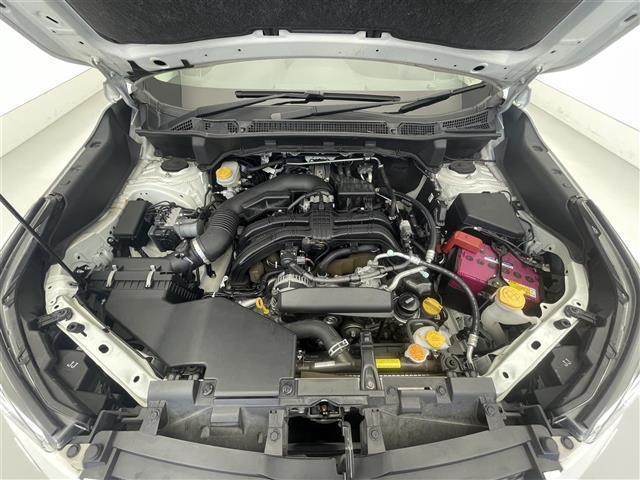 フォレスター プレミアム 禁煙車/純正ナビ/追従クルーズコントロール/ブラインドスポットモニター/バックカメラ/ETC/ステアリングスイッチ/ステアリングヒーター/ハーフレザーシート/シートヒーター/パワーシート/LEDライト(38枚目)