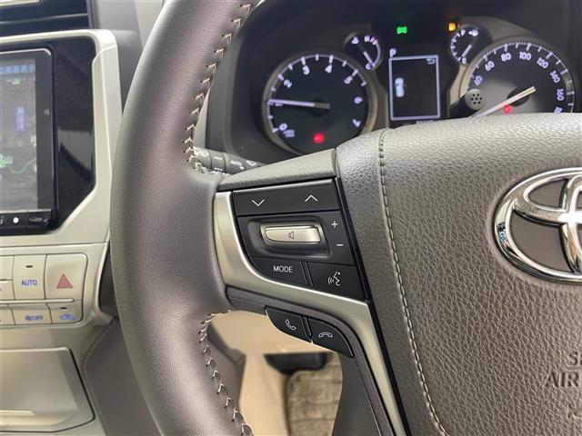 ランドクルーザープラド ＴＸ　Ｌパッケージ　マットブラックエディション　禁煙車／純正９インチナビ／バックカメラ／サンルーフ／追従クルーズコントロール／ＥＴＣ／前後ドライブレコーダー／シートヒーター／パワーシート／コーナーセンサー／電動格納サードシート／本革シート／ＬＥＤ（14枚目）