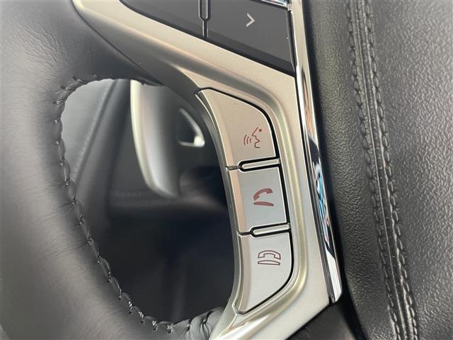 デリカＤ：５ ブラックエディション　登録済未使用車／全方位カメラ／両側パワースライドドア／レザーシート／追従クルーズコントロール／ブラインドスポットモニタリング／ＬＥＤ／オートハイビーム／Ｄ席パワーシート／シートヒーター／ＡＣ１００Ｖ（17枚目）