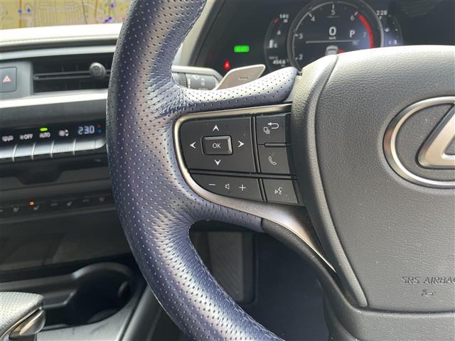 ＵＸ ＵＸ２５０ｈ　Ｆスポーツ　スタイルブルー　純正ナビ／パノラミックビューモニター／サンルーフ／ブラインドスポットモニター／パーキングサポートブレーキ／セーフティセンスプラス／フルブラックドアミラー／ヘッドアップディスプレイ／パワーシート（8枚目）