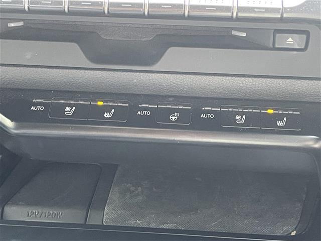 ＵＸ ＵＸ２５０ｈ　Ｆスポーツ　スタイルブルー　純正ナビ／パノラミックビューモニター／サンルーフ／ブラインドスポットモニター／パーキングサポートブレーキ／セーフティセンスプラス／フルブラックドアミラー／ヘッドアップディスプレイ／パワーシート（10枚目）