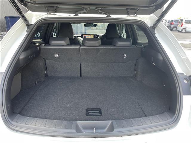 ＵＸ ＵＸ２５０ｈ　Ｆスポーツ　スタイルブルー　純正ナビ／パノラミックビューモニター／サンルーフ／ブラインドスポットモニター／パーキングサポートブレーキ／セーフティセンスプラス／フルブラックドアミラー／ヘッドアップディスプレイ／パワーシート（30枚目）