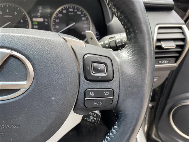 ＮＸ ＮＸ３００ｈ　バージョンＬ　純正ナビ　バックカメラ　サイドカメラ　前方ドライブレコーダー　パワーシート　シートヒーター　シートクーラー　ステアリングヒーター　本革シート　レーダークルーズコントロール　レーンキープアシスト（14枚目）