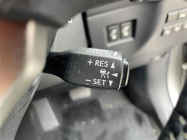 ＮＸ ＮＸ３００ｈ　バージョンＬ　純正ナビ　バックカメラ　サイドカメラ　前方ドライブレコーダー　パワーシート　シートヒーター　シートクーラー　ステアリングヒーター　本革シート　レーダークルーズコントロール　レーンキープアシスト（17枚目）