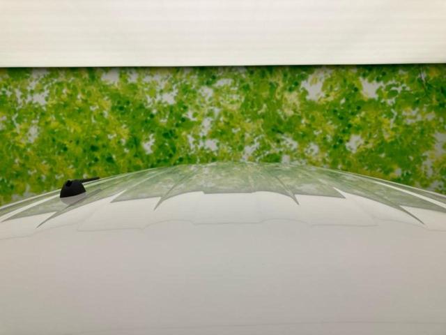 スペーシアカスタム ハイブリッドXS 保証書/セーフティサポート(スズキ)/両側電動スライドドア/シートヒーター 前席/車線逸脱防止支援システム/ヘッドランプ LED/USBジャック/EBD付ABS/横滑り防止装置 衝突被害軽減システム(56枚目)