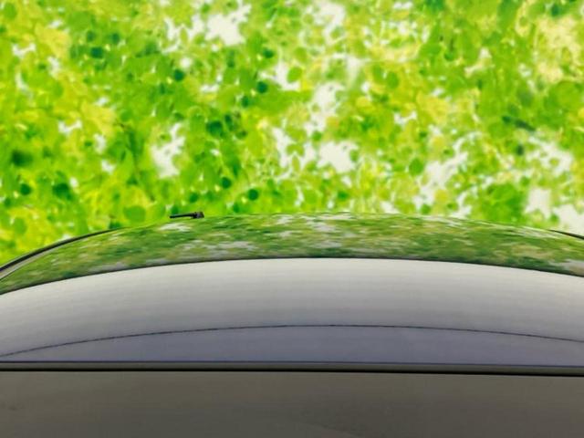 フリード Gプレミアムエディション 純正 SDナビ/フリップダウンモニター 純正 9インチ/両側電動スライドドア/シート ハーフレザー/ヘッドランプ HID/Bluetooth接続/ETC/EBD付ABS/横滑り防止装置 バックカメラ(56枚目)