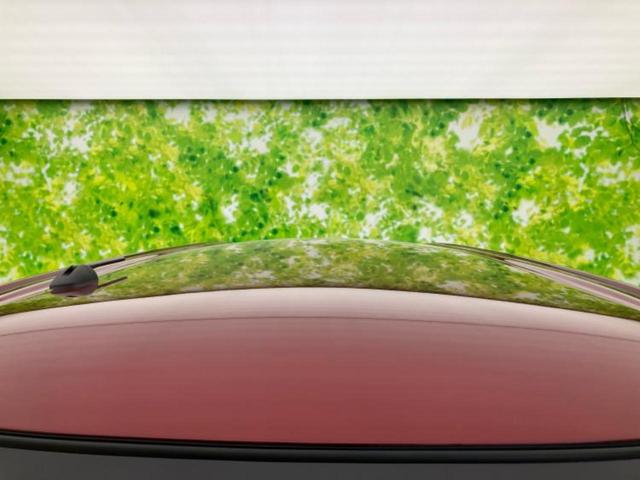 タント カスタムＲＳトップエディションＳＡ３　社外　ＳＤナビ／スマートアシスト（トヨタ・ダイハツ）／両側電動スライドドア／シートヒーター　運転席／車線逸脱防止支援システム／シート　ハーフレザー／ヘッドランプ　ＨＩＤ／ＥＴＣ／ＥＢＤ付ＡＢＳ　ターボ（55枚目）