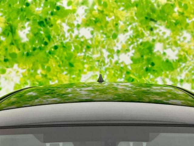 レヴォーグ 4WD1.6GT-Sアイサイト 新品タイヤ/保証書/純正 SDナビ/アイサイト/車線逸脱防止支援システム/ドライブレコーダー 純正/ヘッドランプ LED/USBジャック/HDMI接続/ETC/EBD付ABS/横滑り防止装置 4WD(59枚目)