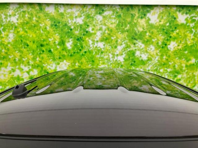 キャロル GL セーフティサポート(スズキ)/シートヒーター 運転席/EBD付ABS/禁煙車/衝突安全ボディ/キーレス/パワーステアリング/オートライト/パワードアロック/デュアルエアバッグ/アクセサリーソケット(49枚目)