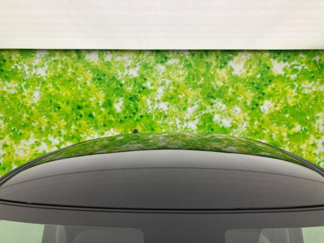 デイズ S 新品タイヤ/保証書/衝突安全装置/車線逸脱防止支援システム/EBD付ABS/横滑り防止装置/禁煙車/エアバッグ 運転席/エアバッグ 助手席/エアバッグ サイド/パワーウインドウ/パワーステアリング(53枚目)