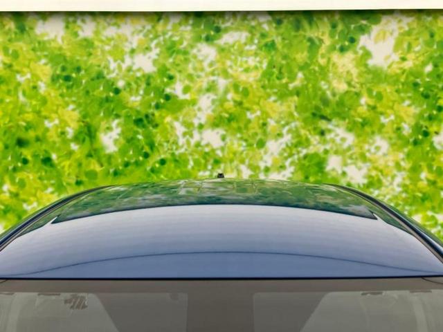 シエンタ Ｇクエロ　保証書／純正　ＳＤナビ／トヨタセーフティセンス／両側電動スライドドア／パノラミックビューモニター／車線逸脱防止支援システム／ＵＳＢジャック／Ｂｌｕｅｔｏｏｔｈ接続／ＥＴＣ／ＥＢＤ付ＡＢＳ　全周囲カメラ（59枚目）