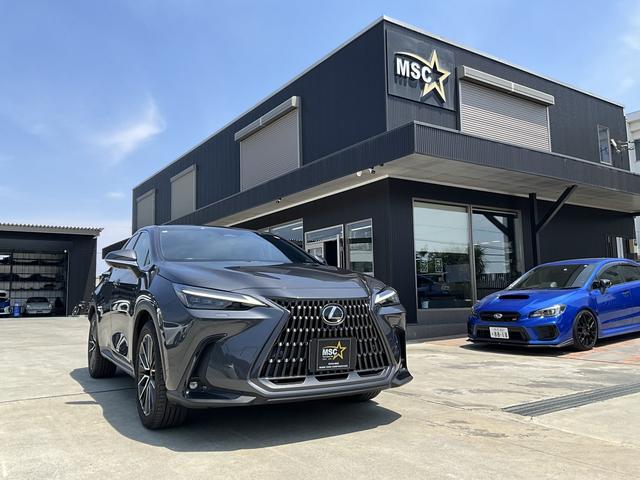 ＮＸ ＮＸ３５０ｈ　バージョンＬ　４ＷＤ　ＥＴＣ　全周囲カメラ　オートクルーズコントロール　レーンアシスト　衝突被害軽減システム　ナビ　ＴＶ　ＬＥＤヘッドランプ　電動リアゲート　アルミホイール　スマートキー　アイドリングストップ（13枚目）