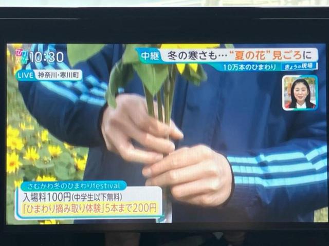 カローラツーリング ハイブリッドダブルバイビー 保証書/ディスプレイオーディオ+ナビ8インチ/衝突安全装置/シートヒーター 前席/車線逸脱防止支援システム/シート 合皮/ヘッドランプ LED/Bluetooth接続/ETC 衝突被害軽減システム(11枚目)