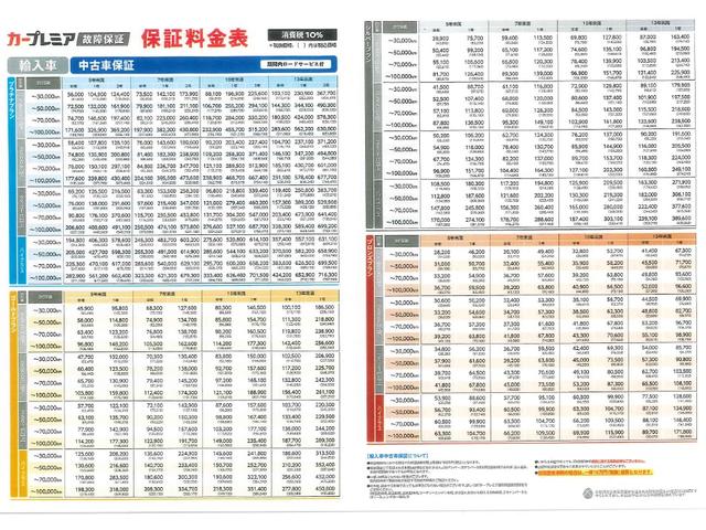 ノート １５Ｘ　ＳＶ＋プラズマ　純正ナビ　ワンセグテレビ（41枚目）