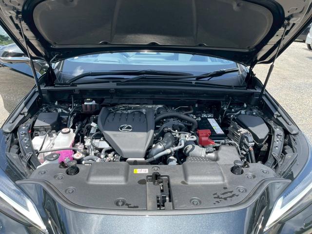 ＮＸ ＮＸ３５０　Ｆスポーツ　ＴＲＤエアロ　パノラマルーフ　ルーフレール　３眼ＬＥＤヘッドライト　デジタルインナーミラー　前後ドライブレコーダー　オレンジブレーキキャリパー　ブラック・ホワイトレザーシート　ＥＴＣ２．０（29枚目）